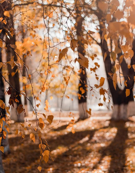 �����f�� | �������磬��ʰߔ�������