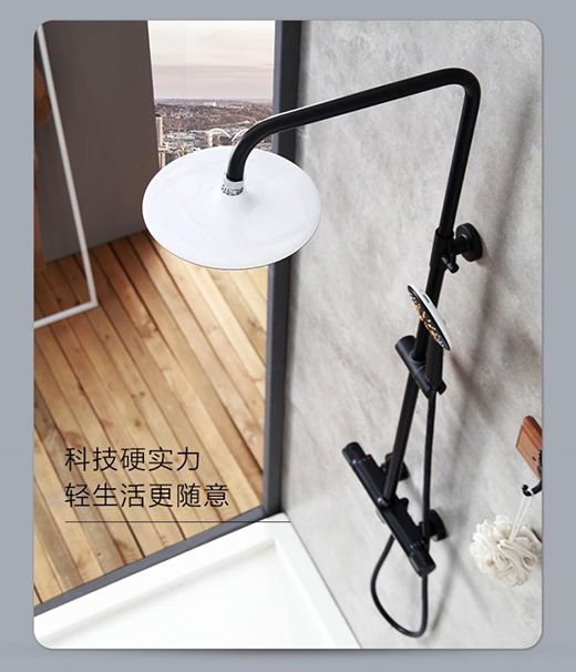 ��ػ������Tʿ�������S������ԡ��