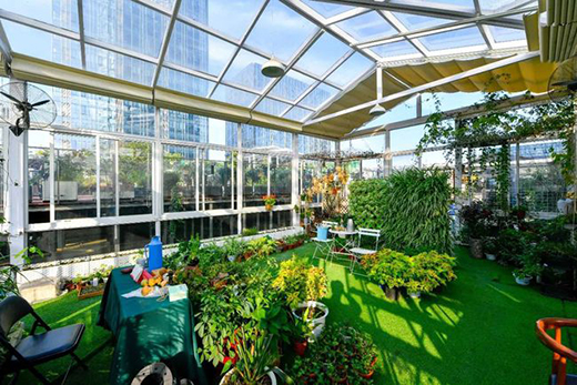 �����(l��i)����ͥԺ��һ��(g��)�(y��ng)�ⷿ��̫����!