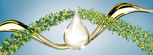 ����p̼������!��˼��(chu��ng)���M��ȭ����������ИI(y��)��̼�D(zhu��n)��