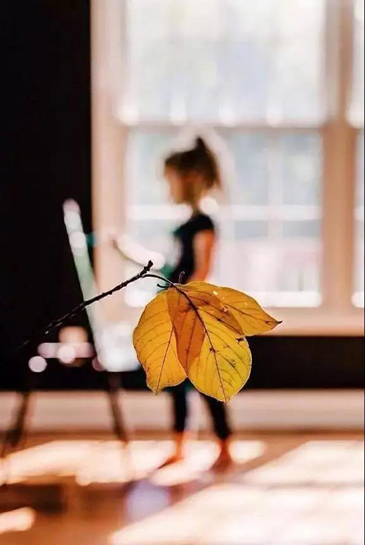 �Ƹ꿨�� | ����ů�⣬׌�@������������