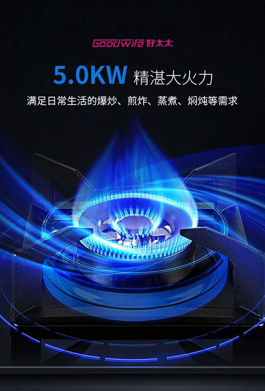 Goodwife��̫̫���r(sh��)���ͷǷ��������o����Ҫ����ζ