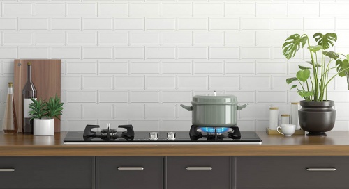 ��ȫ���������������փ�(n��i)�ǏN�����ṩ����ȼ?x��)���֮�x