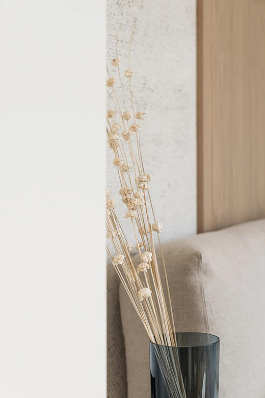 ��(ji��n)�s�L(f��ng)�ă���һ�d���P����ľ���������̫�з���!