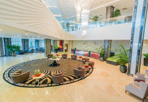 ��Ȼ��ɫ�^������ľ����ľ���չ�F(xi��n)ľ�|(zh��)���