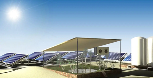 ̫���늳ذ��ڰl(f��)늵�ͬ�r���ֲ��?