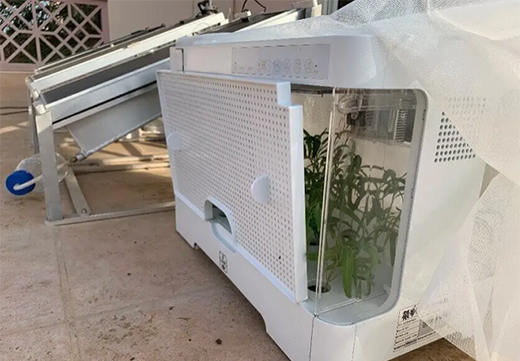 ̫���늳ذ��ڰl(f��)늵�ͬ�r���ֲ��?