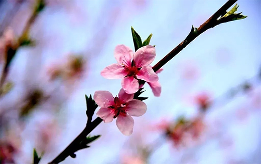 �������T�I(y��)ح����է��(d��ng)���f(w��n)�����C(j��)��Ȼ