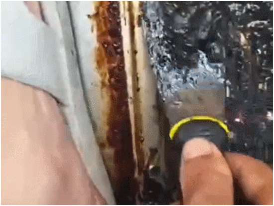 ��(l��)����͟��C(j��)ȫ��(gu��)���G�Ρ����Є�(d��ng)��