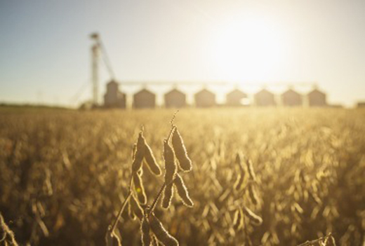 �󶹃r�񱩝q���ƽ�10���λ!�B(y��ng)�i��I(y��)�سɱ���������Ҫ�p����