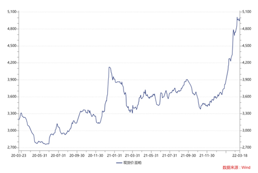 大豆價(jià)格暴漲，逼近10年高位!養(yǎng)豬企業(yè)控成本，二師兄要減餐了