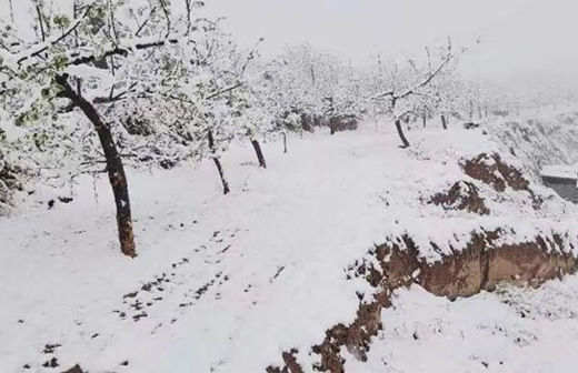 �՚�Դ��Ȫ��������춬���B(y��ng)�����w�(y��n)!