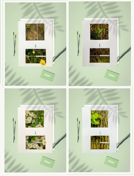 �W·ɯ�l(w��i)������ס���յĽk����ӭ��ʢ�ĵķ��A