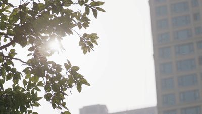 Ξʯ�����i����������������ܡ��������P��!