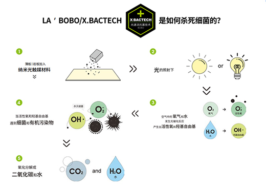 �����¡������� | LA��BOBO��������������{�o��