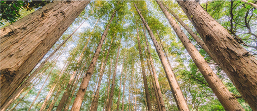 �Ì���OSB�����ð��о�x��