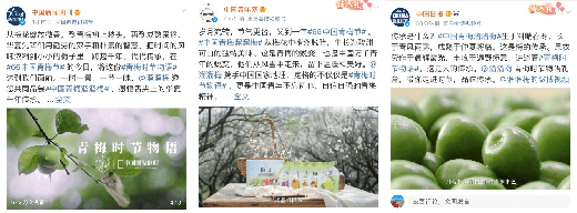 �ġ��Ј�(ch��ng)˼�S������Ʒ��˼�S��������÷�ĳɹ��^��żȻ