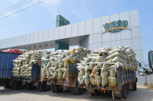 從“市場思維”到“品牌思維”，溜溜梅的成功絕非偶然