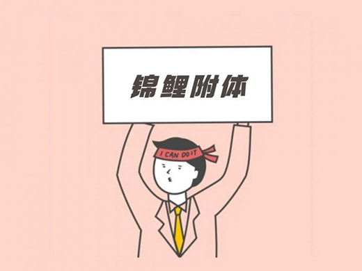 �����l(w��i)������Щ�����\���w�|(zh��)?���������