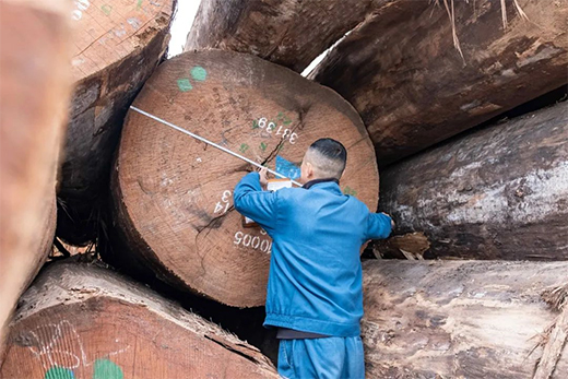 Ī��ɽ�߶˼Ҿ߰� | ��ԭľ֮�����ؘ�(g��u)�����