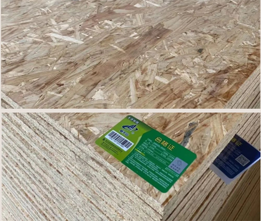 OSB������á�о���x�񣬴���Gɫ֮��