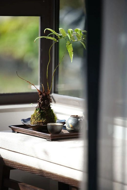 ��܎ȫ���T���F(xi��n)������ʽ���������⾳�B��������