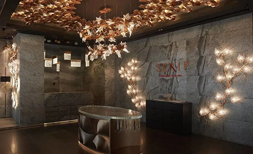 SERIP | �@�G���貟��������õ�ˇ�g(sh��)����