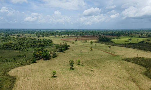 威能ecoTEC exclusive榮獲“綠點(diǎn)中國(guó)”年度案例，綠色設(shè)計(jì)助力舒適生活