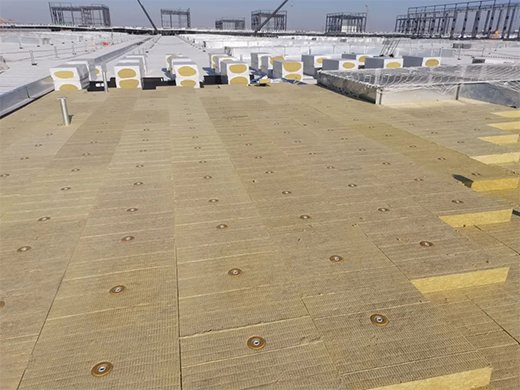 �|�����y�֊W��һ������̽�Gɫδ��