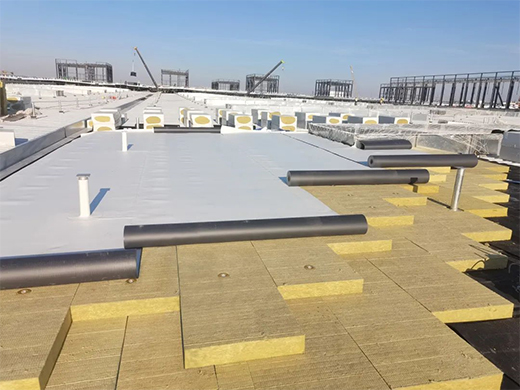 東方雨虹攜手奧迪一汽，共探綠色未來