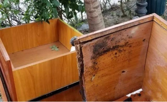 �ɵ��᣺���P䓙���һ��(g��)�����ѽ�(j��ng)���