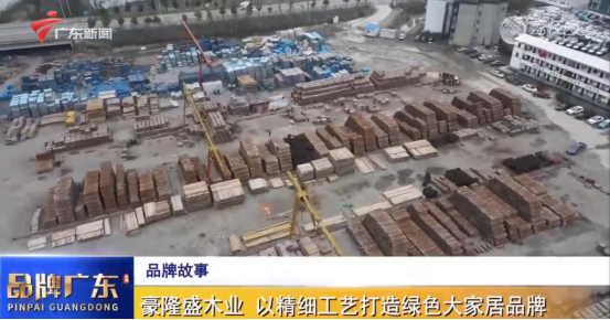 廣東電視臺重磅欄目《品牌廣東》，講述板芝福板材品牌故事