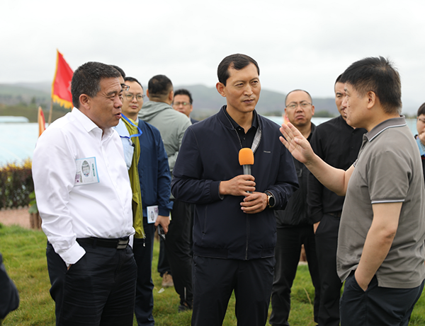 �y����I(y��)��ý�w�����조���Pɽ���^(q��)����Ʒ�������