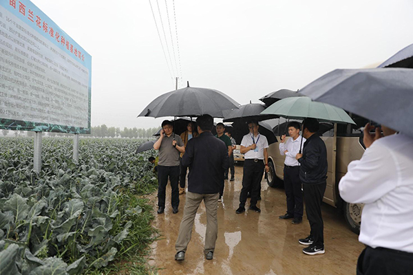 �y����I(y��)��ý�w�����조���Pɽ���^(q��)����Ʒ�������