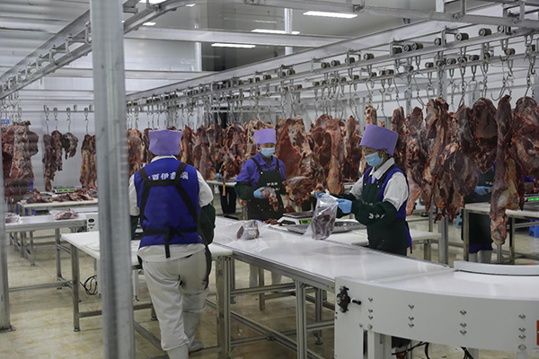 �y����I(y��)��ý�w�����조���Pɽ���^(q��)����Ʒ�������