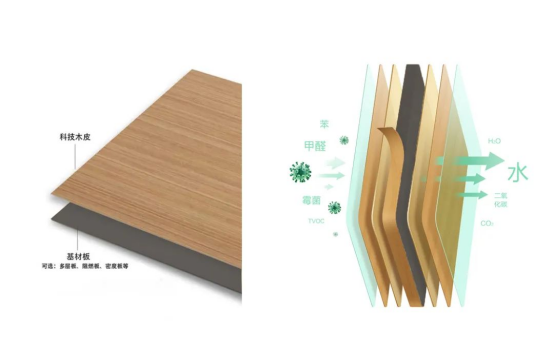 �Wҫ�Ͼ������Z�߶������԰�ĵđ�(y��ng)��֮·